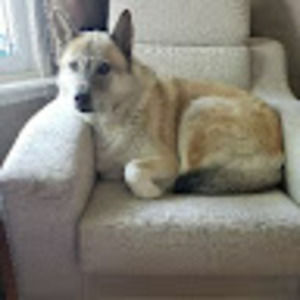 Meet your Posher, Karen